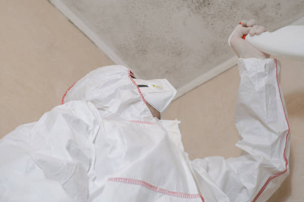 Best Mold Remediation  in Mills, WY