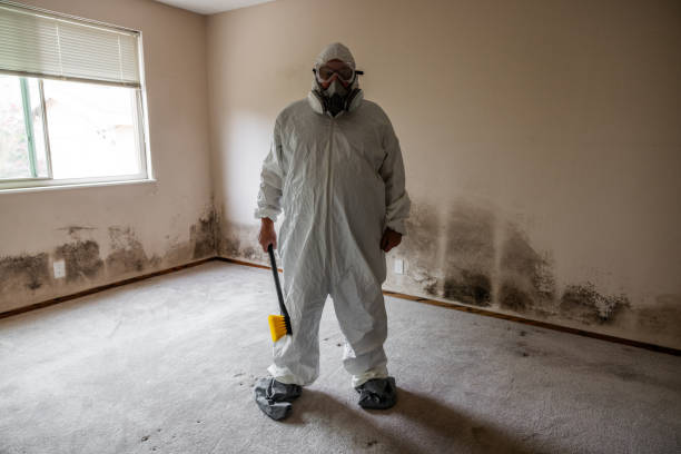 Best Commercial Mold Removal  in Mills, WY